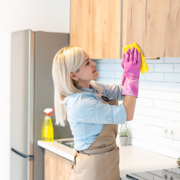 Domestic help and household tasks 